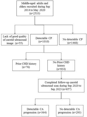 Glucose-lowering medications and glucose levels as the major determinants of progression of carotid atherosclerosis in middle-aged adults and elders: a community-based prospective study